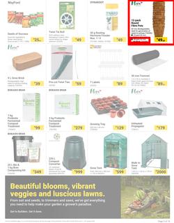 Builders : The Forecast Is Sunny Let's Get Outside (02 January - 29 January 2024), page 3