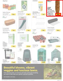 Builders : The Forecast Is Sunny Let's Get Outside (02 January - 29 January 2024), page 3