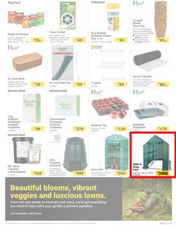 Builders : The Forecast Is Sunny Let's Get Outside (02 January - 29 January 2024), page 3