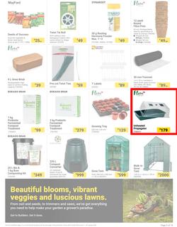 Builders : The Forecast Is Sunny Let's Get Outside (02 January - 29 January 2024), page 3