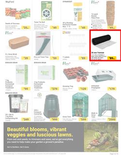 Builders : The Forecast Is Sunny Let's Get Outside (02 January - 29 January 2024), page 3