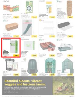 Builders : The Forecast Is Sunny Let's Get Outside (02 January - 29 January 2024), page 3