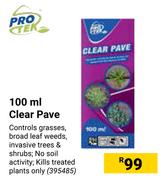 Protek Clear Pave-100ml