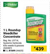Efekto Roundup Weedkiller Concentrate-1L
