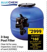 Blue Chem 3-Bag Pool Filter 620982