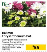 140mm Chrysanthemum Pot