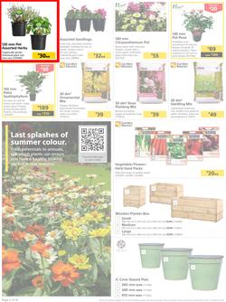 Builders : Get Your Great Outdoors Back Into Shape (27 December - 23 January 2023), page 2