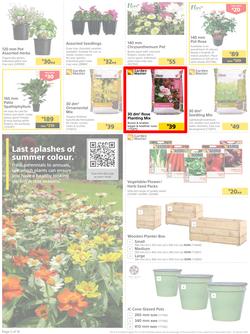 Builders : Get Your Great Outdoors Back Into Shape (27 December - 23 January 2023), page 2