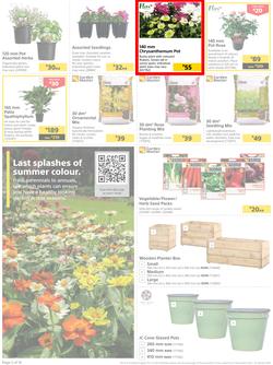 Builders : Get Your Great Outdoors Back Into Shape (27 December - 23 January 2023), page 2