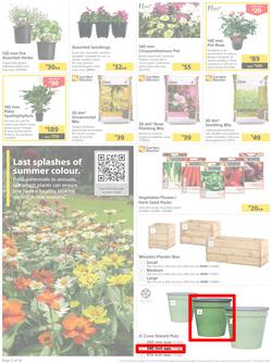 Builders : Get Your Great Outdoors Back Into Shape (27 December - 23 January 2023), page 2