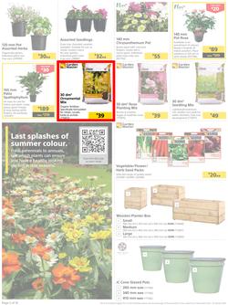 Builders : Get Your Great Outdoors Back Into Shape (27 December - 23 January 2023), page 2