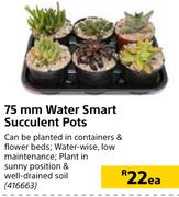 75mm Water Smart Succelent Pots-Each 