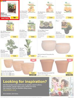 Builders : Get Your Great Outdoors Back Into Shape (27 December - 23 January 2023), page 3