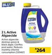 BLU 52 Active Algaecide