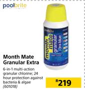 Pool Brite Month Mate Granular Extra
