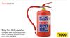Intasafety 9Kg Fire Extinguisher