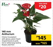 Flora 140mm Anthurium