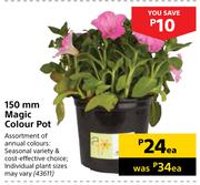 150mm Magic Colour Pot-Each