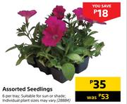 Assorted Seedlings