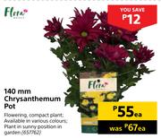 Flora 140mm Chrysanthemum Pot-Each