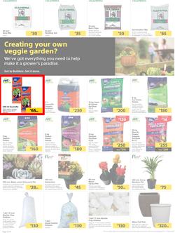 Builders Botswana : Pool And Garden Maintenance Made Easy (03 January - 23 January 2023), page 2