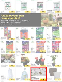 Builders Botswana : Pool And Garden Maintenance Made Easy (03 January - 23 January 2023), page 2