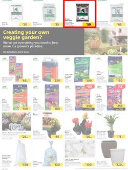Builders Botswana : Pool And Garden Maintenance Made Easy (03 January - 23 January 2023), page 2
