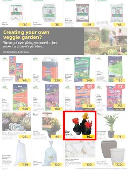 Builders Botswana : Pool And Garden Maintenance Made Easy (03 January - 23 January 2023), page 2