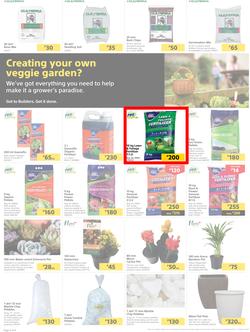 Builders Botswana : Pool And Garden Maintenance Made Easy (03 January - 23 January 2023), page 2