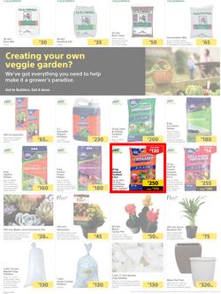 Builders Botswana : Pool And Garden Maintenance Made Easy (03 January - 23 January 2023), page 2