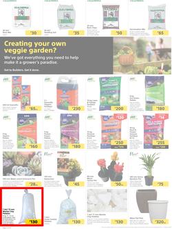 Builders Botswana : Pool And Garden Maintenance Made Easy (03 January - 23 January 2023), page 2