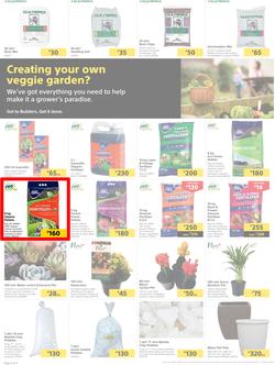 Builders Botswana : Pool And Garden Maintenance Made Easy (03 January - 23 January 2023), page 2