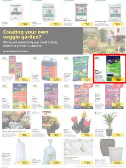 Builders Botswana : Pool And Garden Maintenance Made Easy (03 January - 23 January 2023), page 2