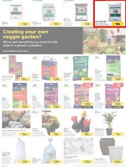 Builders Botswana : Pool And Garden Maintenance Made Easy (03 January - 23 January 2023), page 2