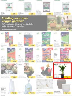 Builders Botswana : Pool And Garden Maintenance Made Easy (03 January - 23 January 2023), page 2