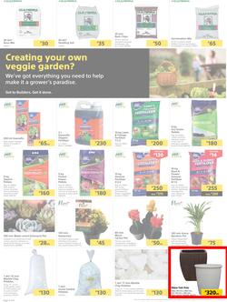 Builders Botswana : Pool And Garden Maintenance Made Easy (03 January - 23 January 2023), page 2