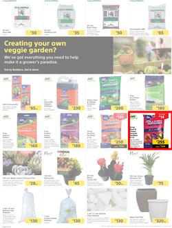 Builders Botswana : Pool And Garden Maintenance Made Easy (03 January - 23 January 2023), page 2