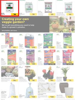 Builders Botswana : Pool And Garden Maintenance Made Easy (03 January - 23 January 2023), page 2