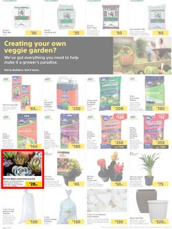 Builders Botswana : Pool And Garden Maintenance Made Easy (03 January - 23 January 2023), page 2