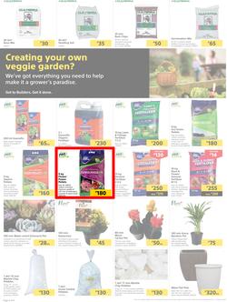 Builders Botswana : Pool And Garden Maintenance Made Easy (03 January - 23 January 2023), page 2