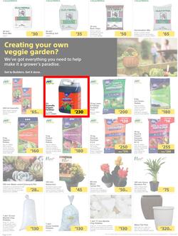 Builders Botswana : Pool And Garden Maintenance Made Easy (03 January - 23 January 2023), page 2