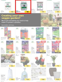 Builders Botswana : Pool And Garden Maintenance Made Easy (03 January - 23 January 2023), page 2