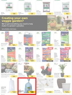 Builders Botswana : Pool And Garden Maintenance Made Easy (03 January - 23 January 2023), page 2