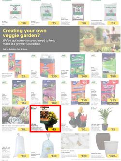 Builders Botswana : Pool And Garden Maintenance Made Easy (03 January - 23 January 2023), page 2