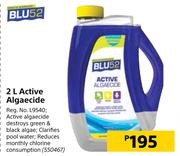BLU 52 2L Active Algaecide
