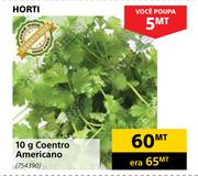 Horti 10g Coentro Americano
