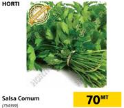 Horti Salsa Comum