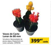 Vasos de Cacto Lunar de 80mm-cada