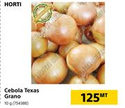 Horti Cebola Texas Grano 10g