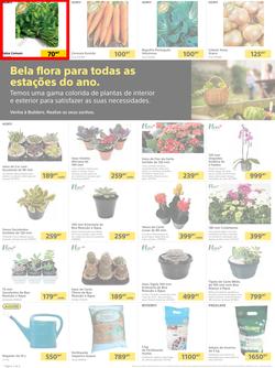 Builders Matola & Marginal : Pool & Garden Maintenance Made Easy (03 January - 23 January 2023), page 2